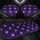 紫【豚のペジ3点セット】